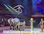 Circus Krone hilft Kindern das Leben zu retten: kommentierte Raubtierprobe mit Martin Lacey jr. zu Gunsten der Nicolas-May-Stiftung am 04.03.2023 